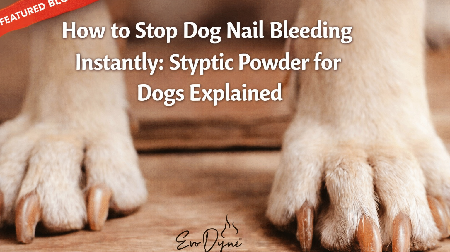 How to Stop Dog Nail Bleeding Instantly: Styptic Powder for Dogs Explained