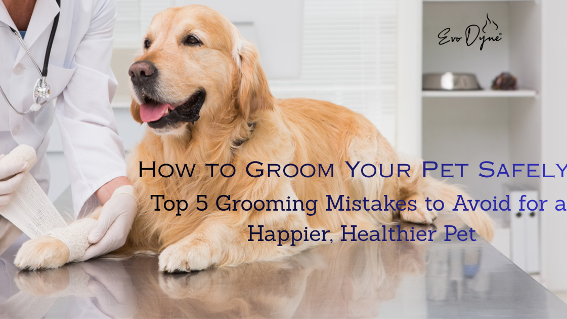 assorted home, pet, and car care products on bright modern countertop