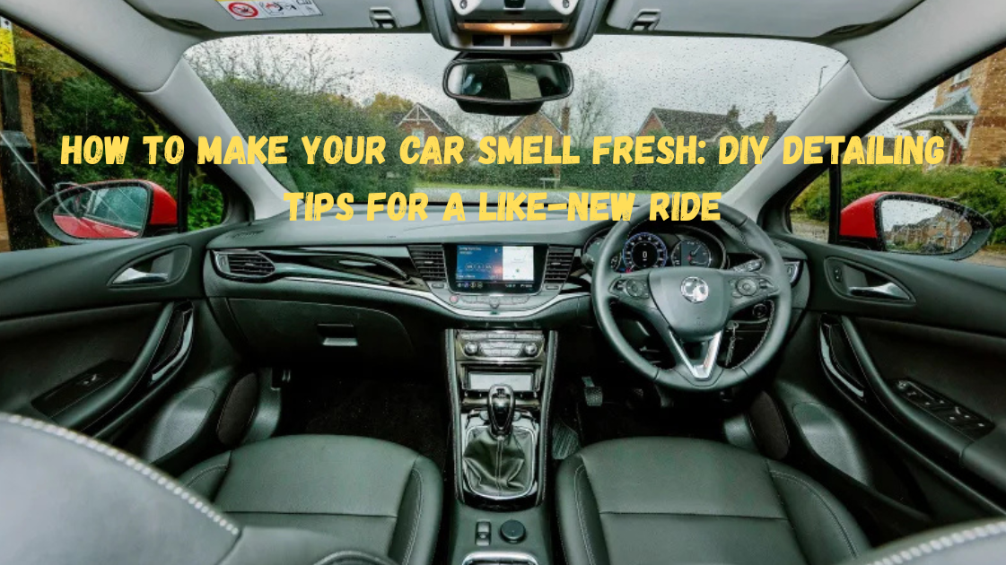 clean countertop still life of modern home, pet, and car care products