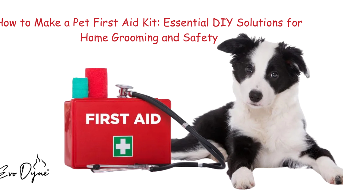 clean modern still life of home pet and car care products on counter