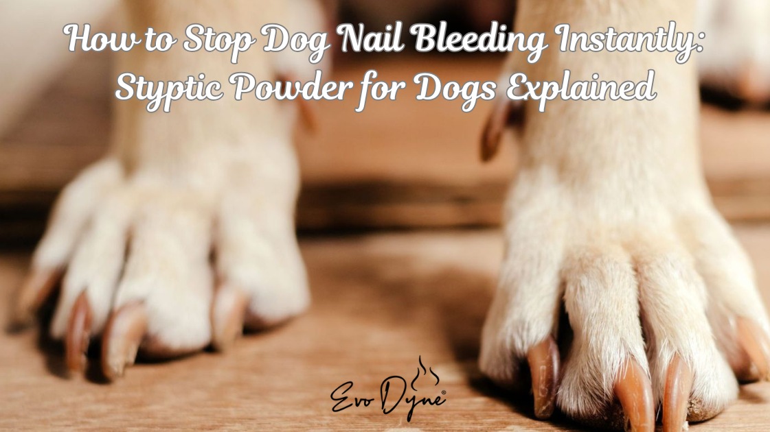 clean countertop with assorted home, pet, and car care products in daylight