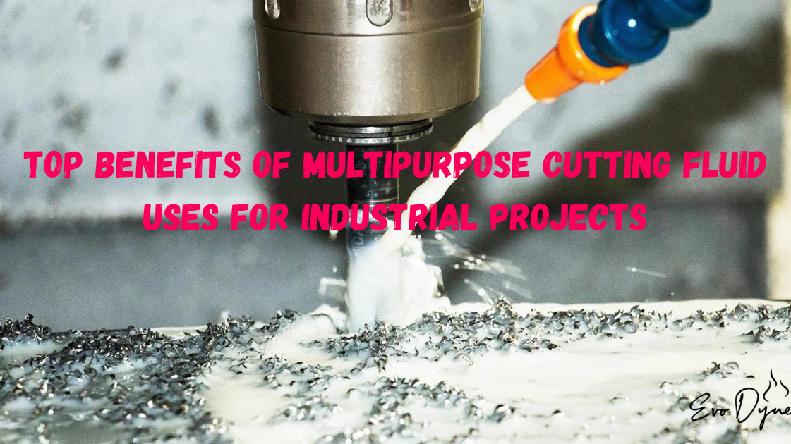 clean countertop with assorted home, pet, and car care products arranged neatly