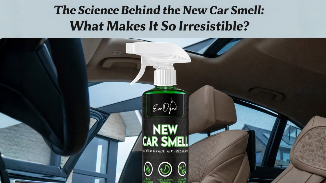 The Science Behind the New Car Smell: What Makes It So Irresistible?