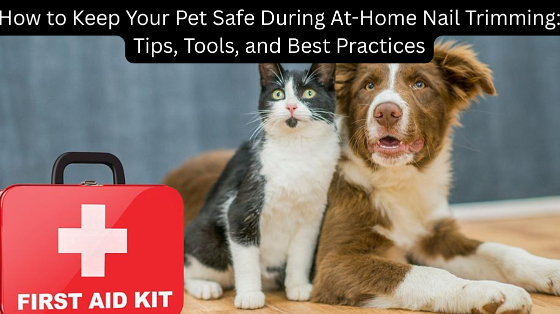 How to Keep Your Pet Safe During At-Home Nail Trimming: Tips, Tools, and Best Practices