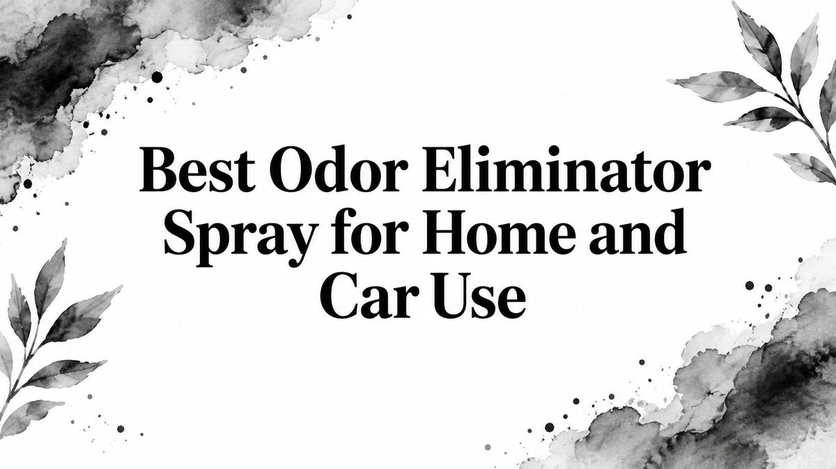Best Odor Eliminator Spray for Home and Car Use