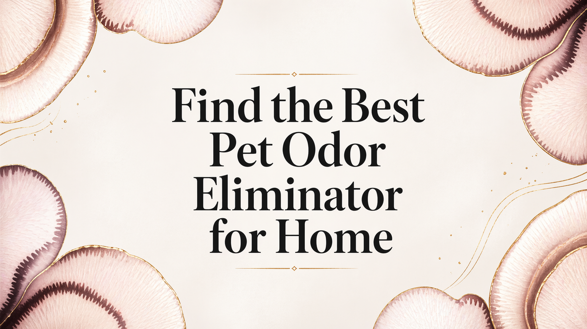 Find the Best Pet Odor Eliminator for Home