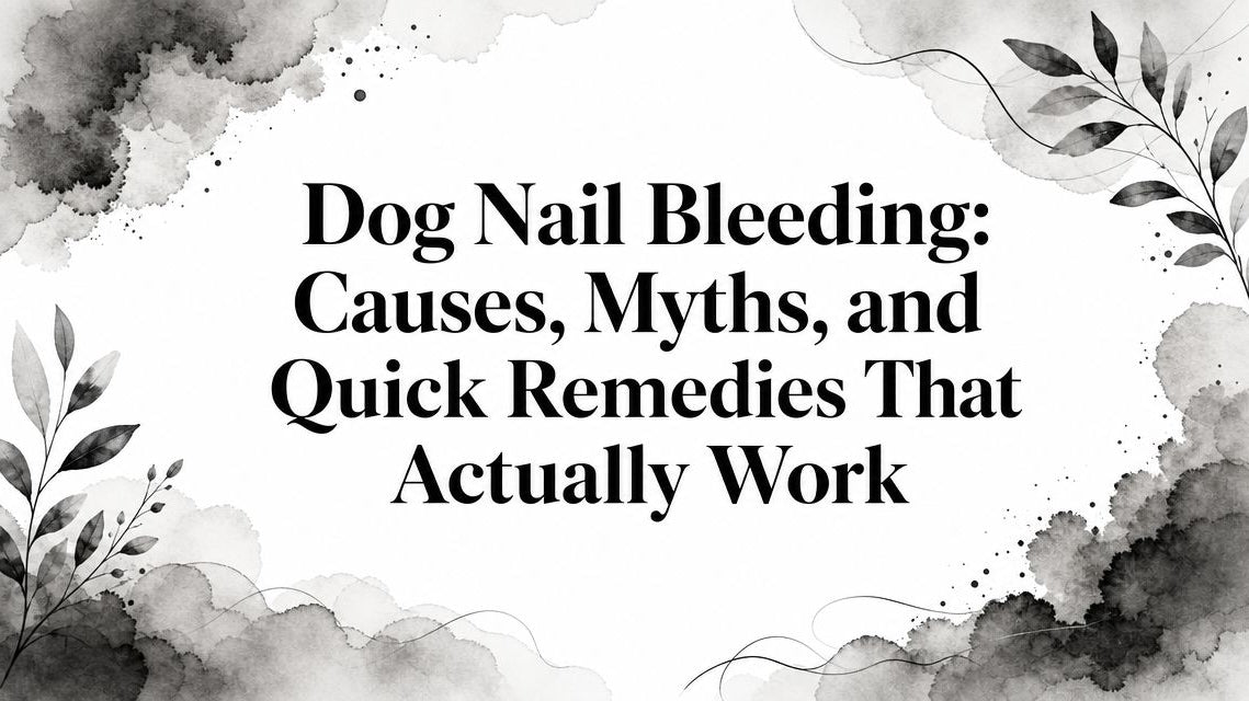 Dog Nail Bleeding: Causes, Myths, and Quick Remedies That Actually Work