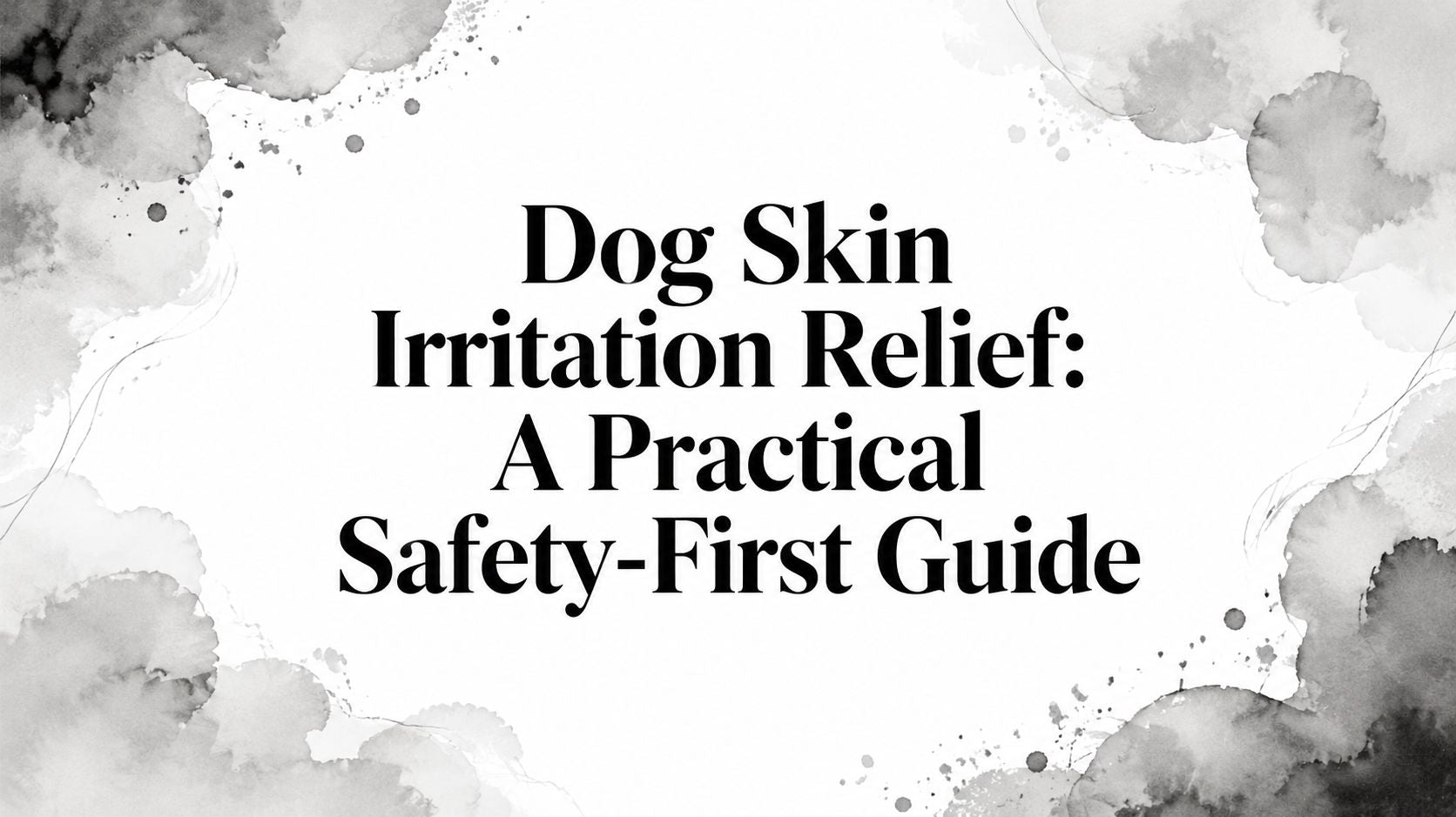 Dog Skin Irritation Relief: A Practical Safety-First Guide