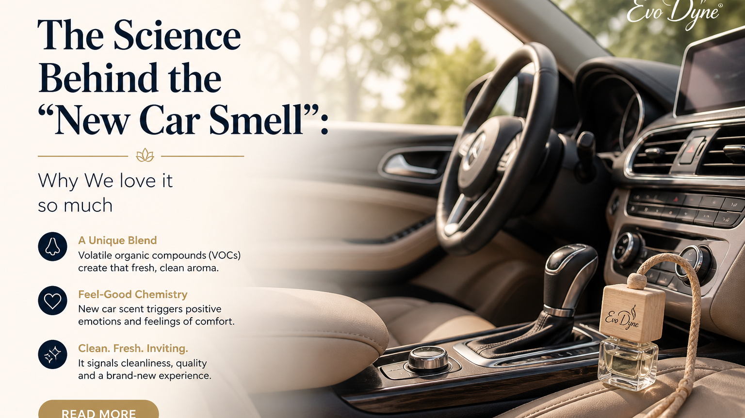 The Science Behind the “New Car Smell”: Why We Love It So Much