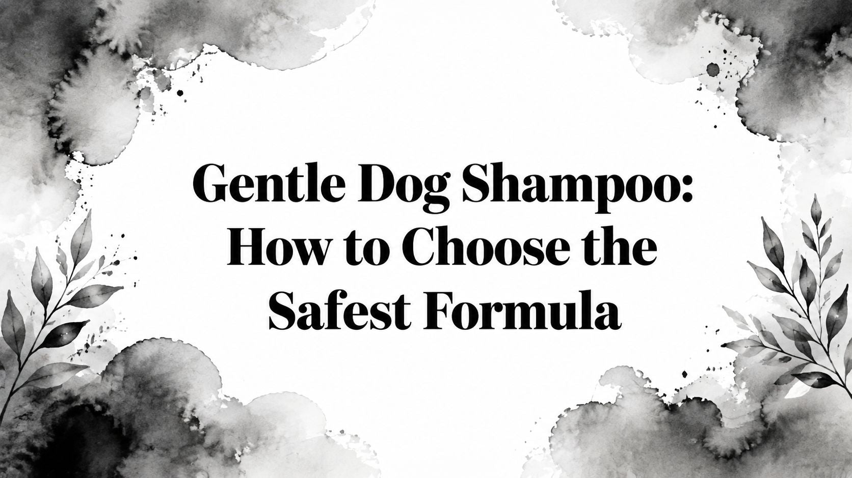 Gentle Dog Shampoo: How to Choose the Safest Formula