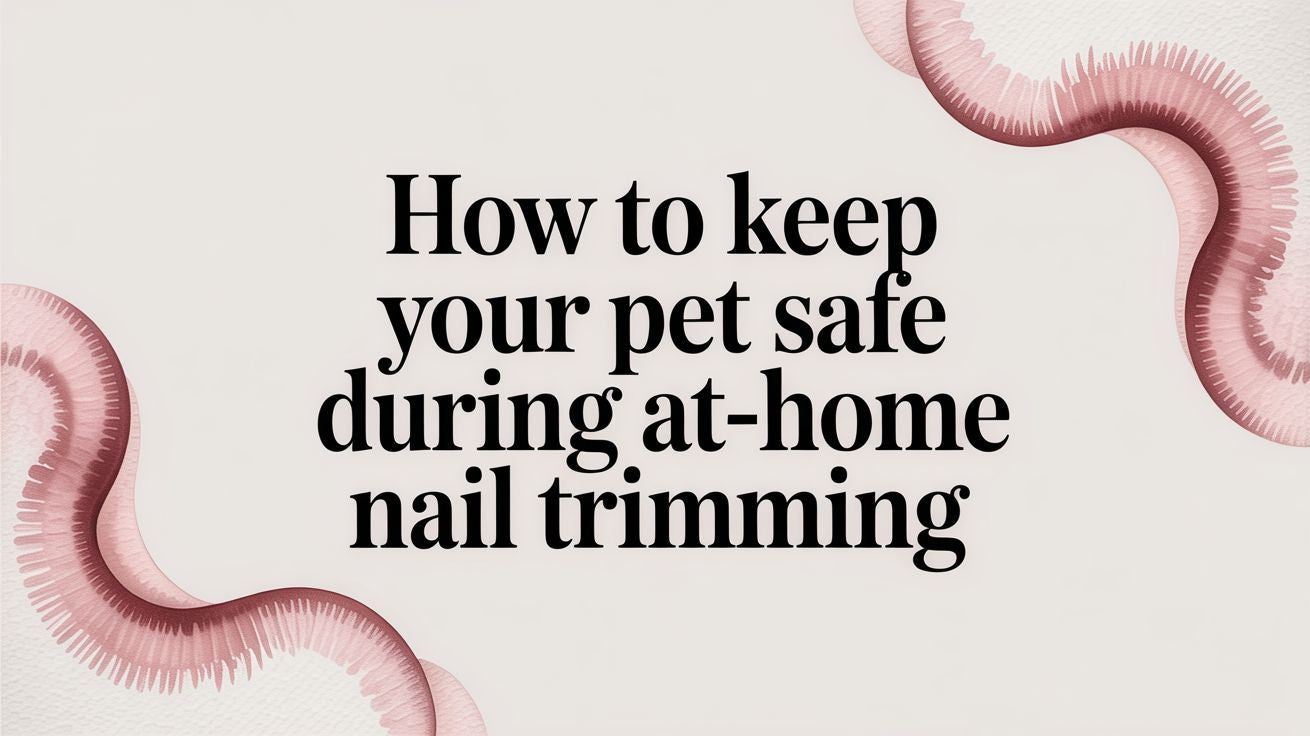 How to Keep Your Pet Safe During At-Home Nail Trimming