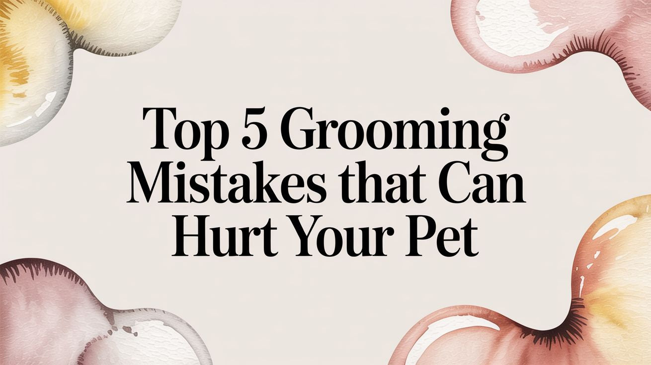Top 5 Grooming Mistakes That Can Hurt Your Pet