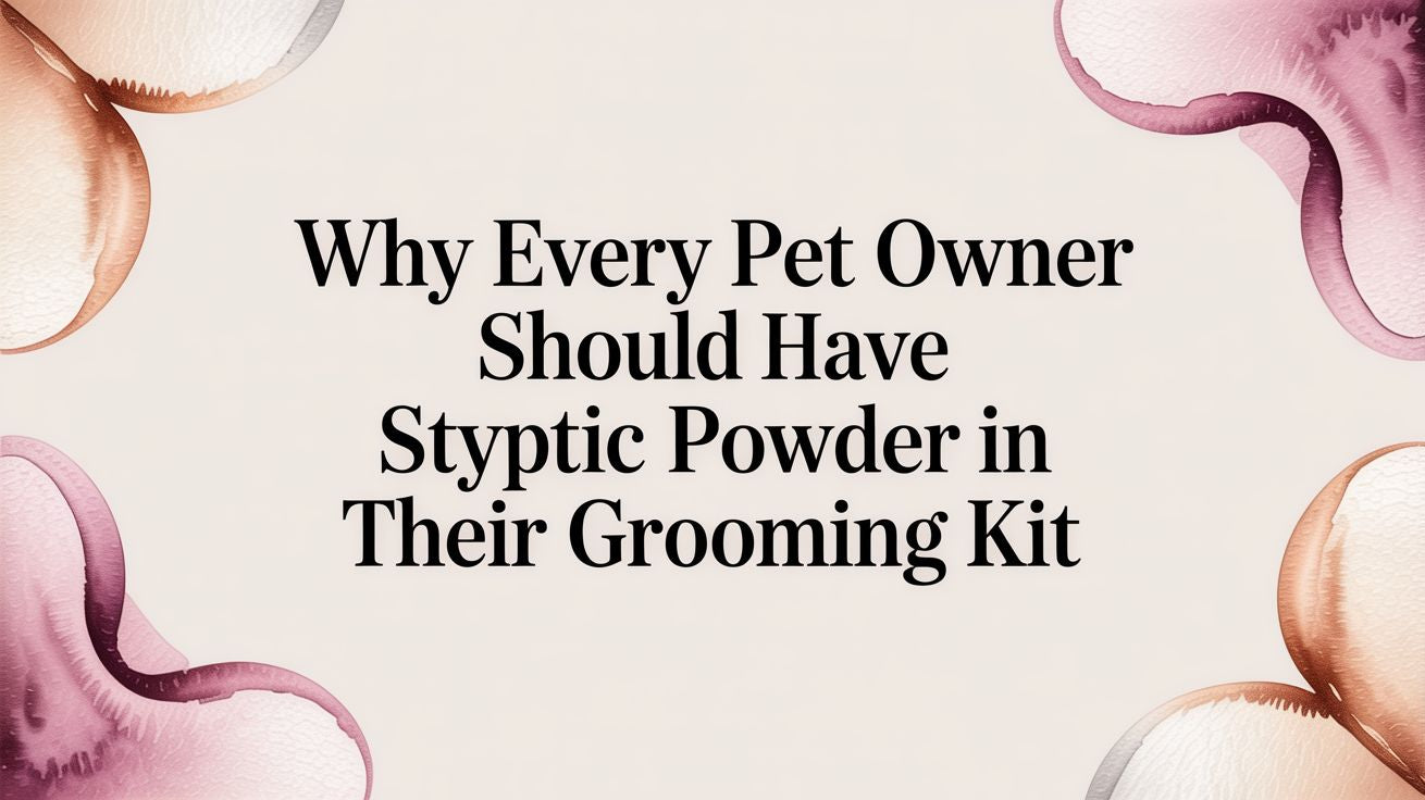 Why Every Pet Owner Should Have Styptic Powder in Their Grooming Kit