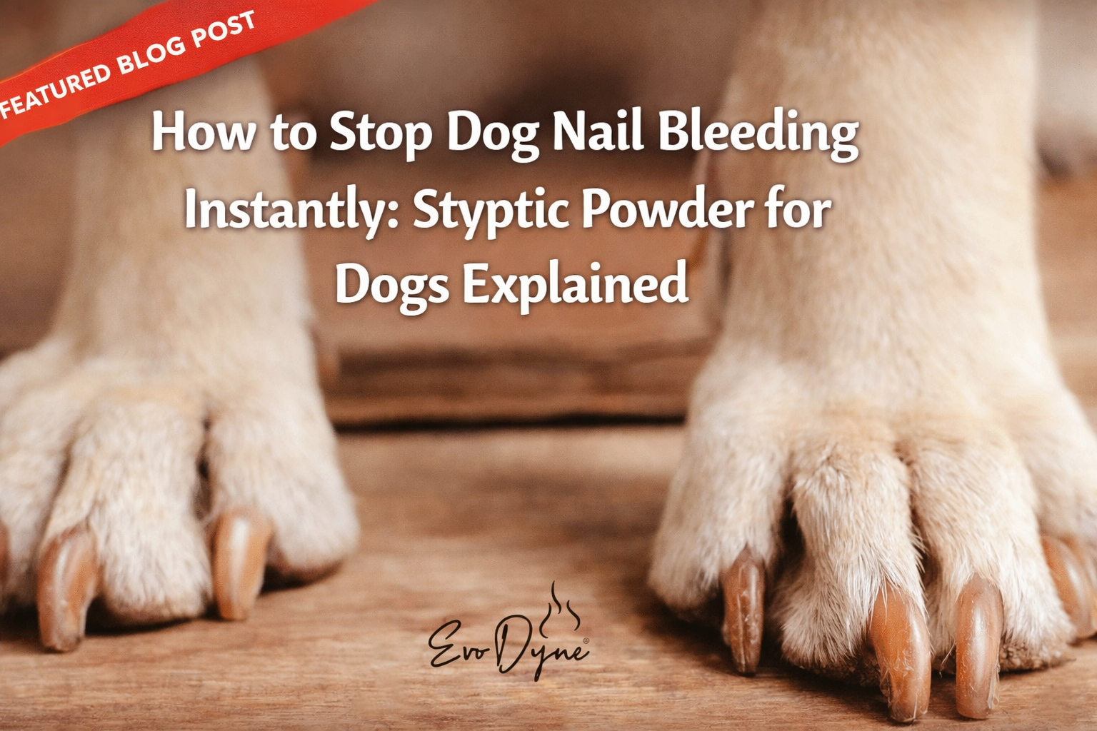 How to Stop Dog Nail Bleeding Instantly: Styptic Powder for Dogs Explained