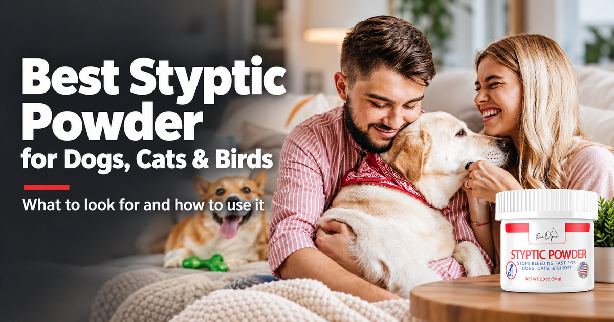 What Is the Best Styptic Powder for Dogs, Cats, and Birds? A Complete Guide to Stopping Bleeds Fast