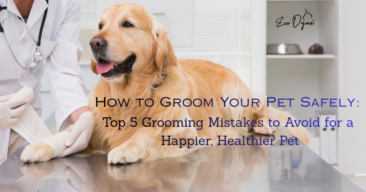 assorted home, pet, and car care products on bright modern countertop