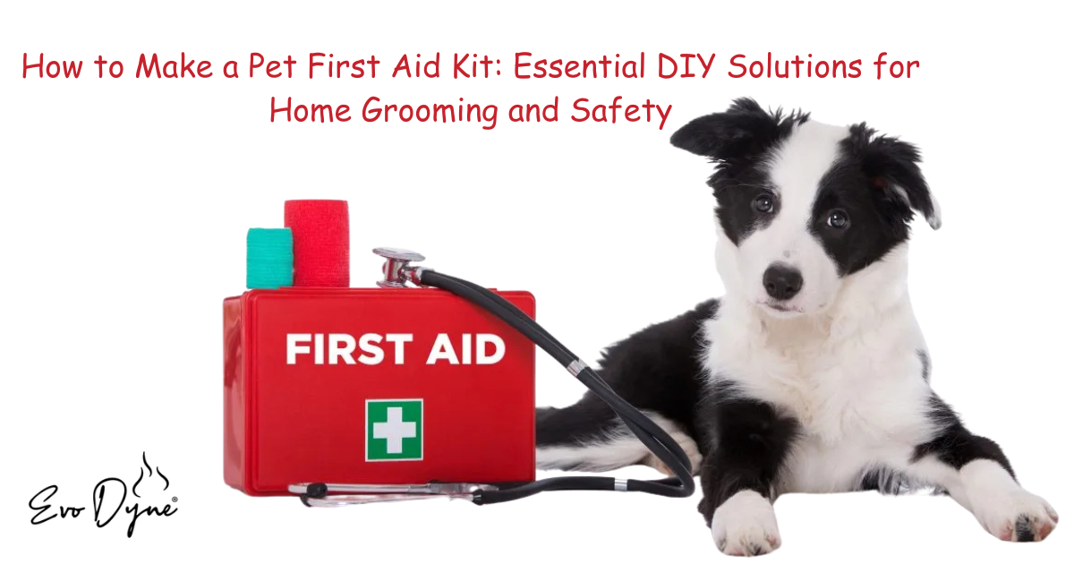 clean modern still life of home pet and car care products on counter