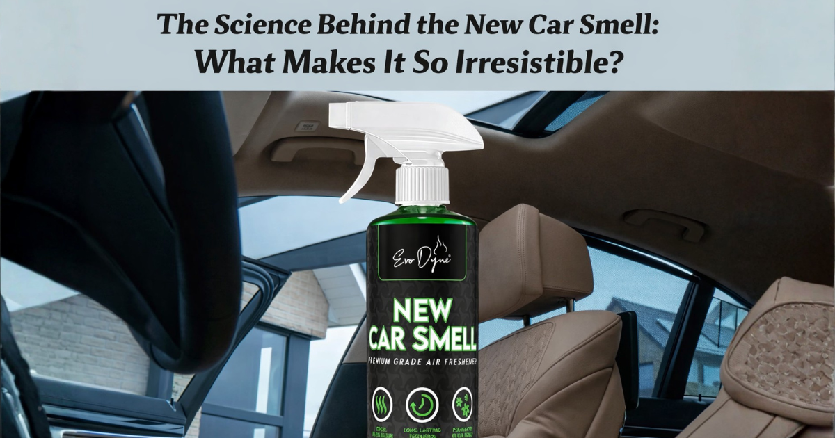 The Science Behind the New Car Smell: What Makes It So Irresistible?