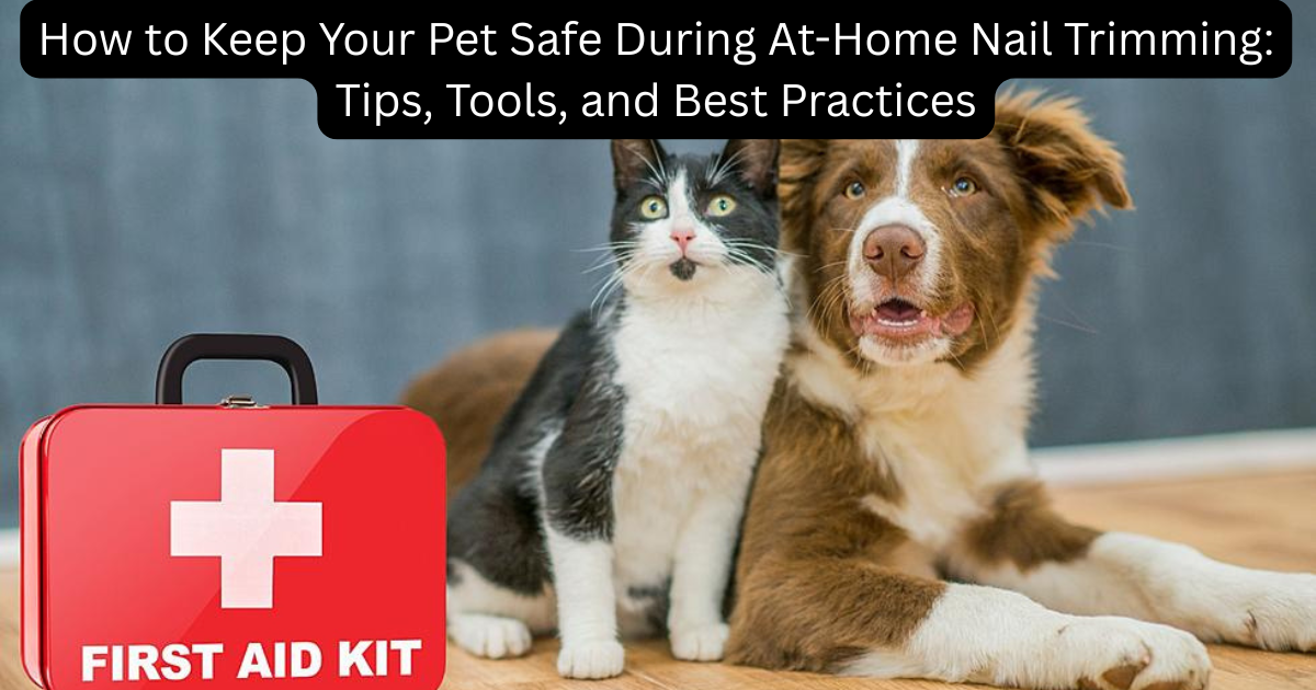 How to Keep Your Pet Safe During At-Home Nail Trimming: Tips, Tools, and Best Practices