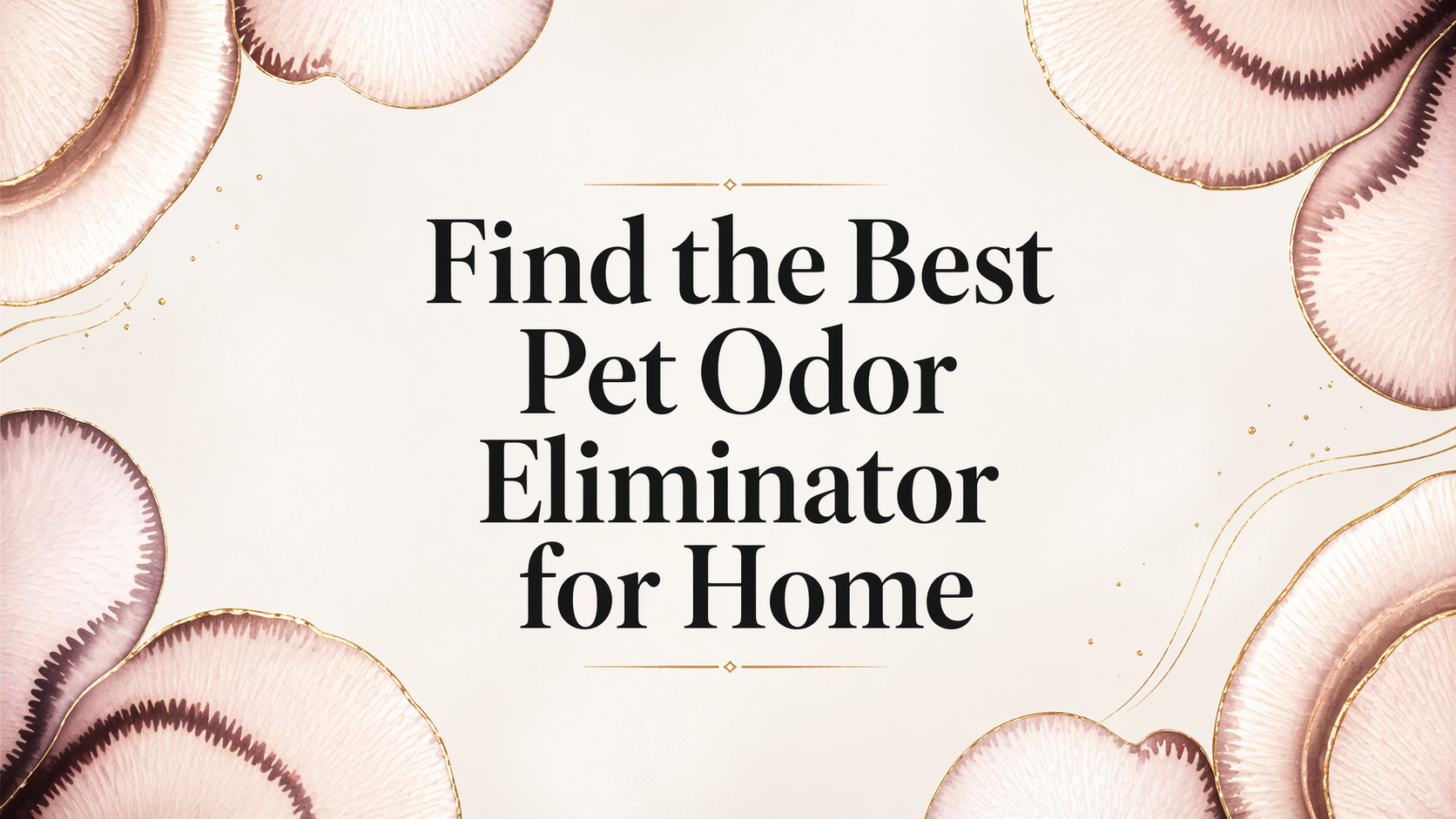 Find The Best Pet Odor Eliminator For Home