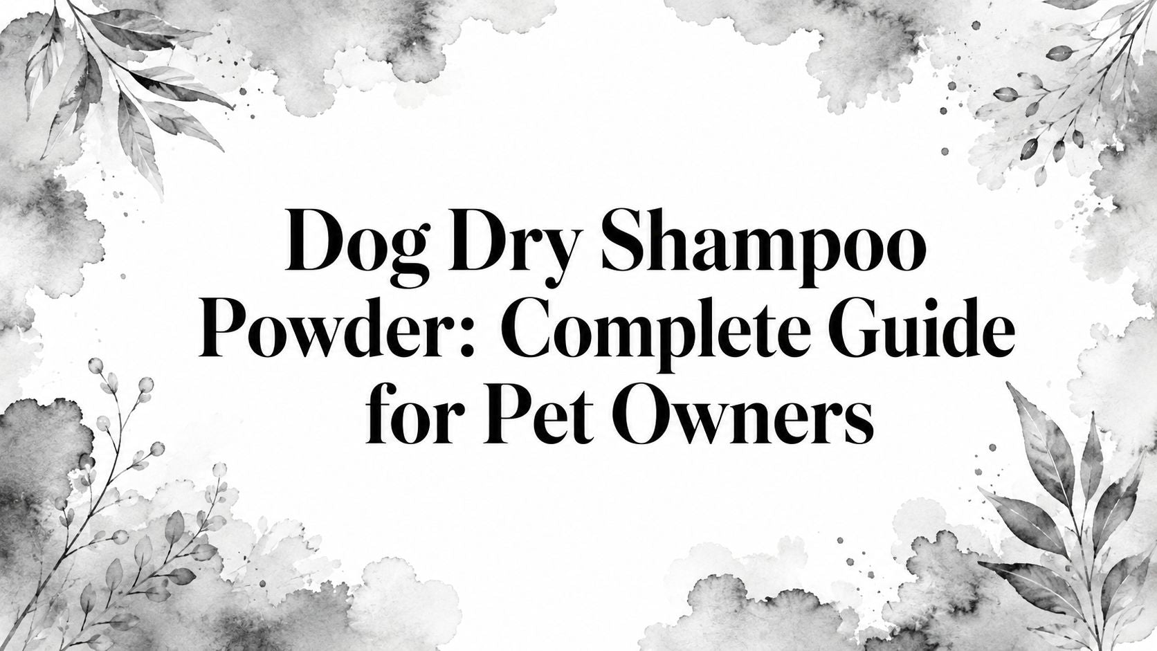 Dog Dry Shampoo Powder: Complete Guide for Pet Owners