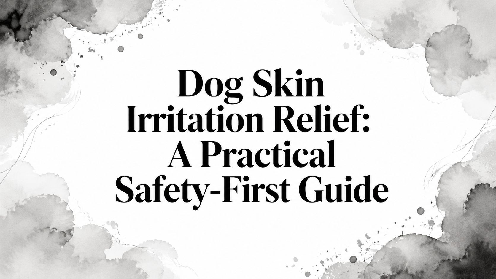 Dog Skin Irritation Relief: A Practical Safety-First Guide
