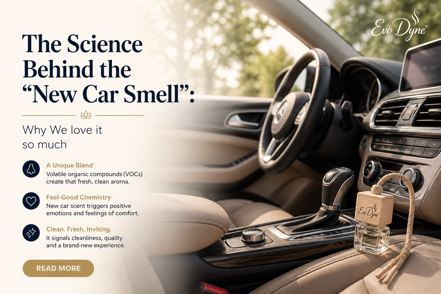 The Science Behind the “New Car Smell”: Why We Love It So Much