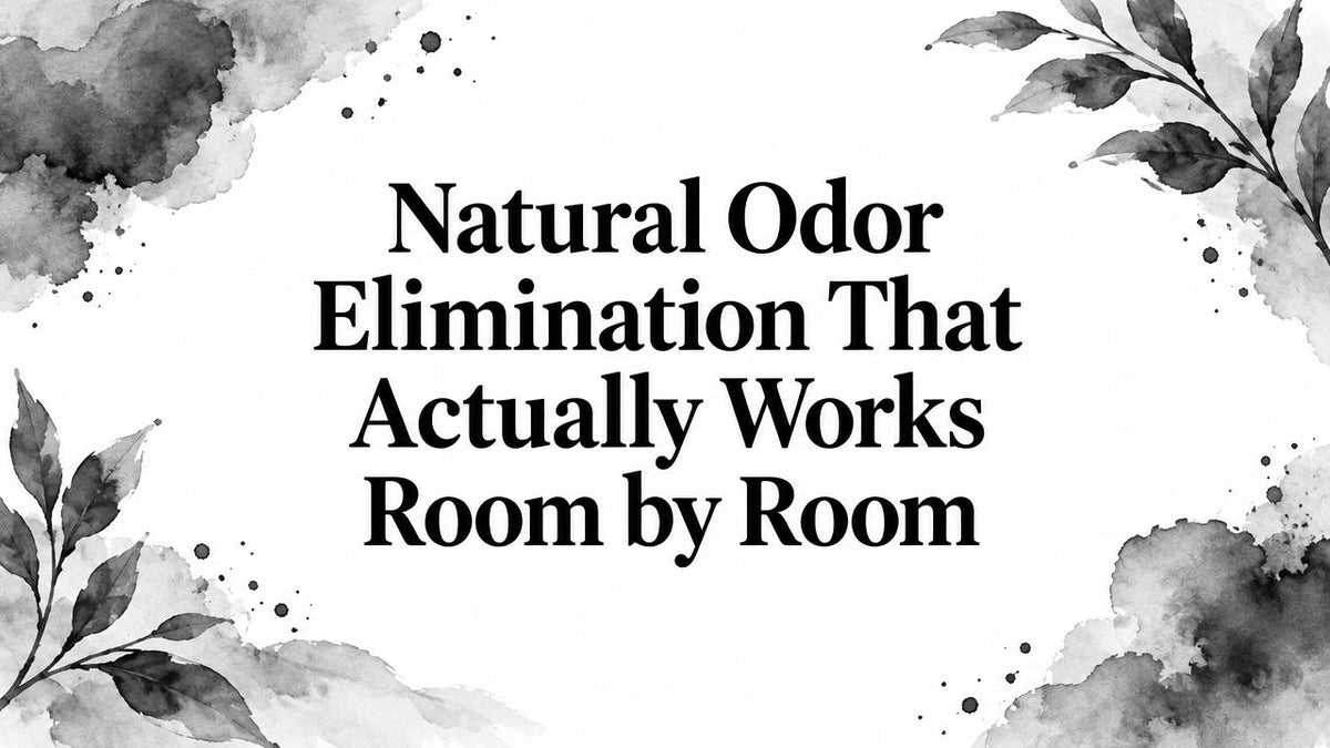 Natural Odor Elimination That Actually Works Room by Room