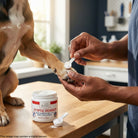 Evo Dyne styptic powder stops bleeding fast after pet nail trims